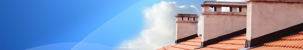 Banner - Franz Lipp